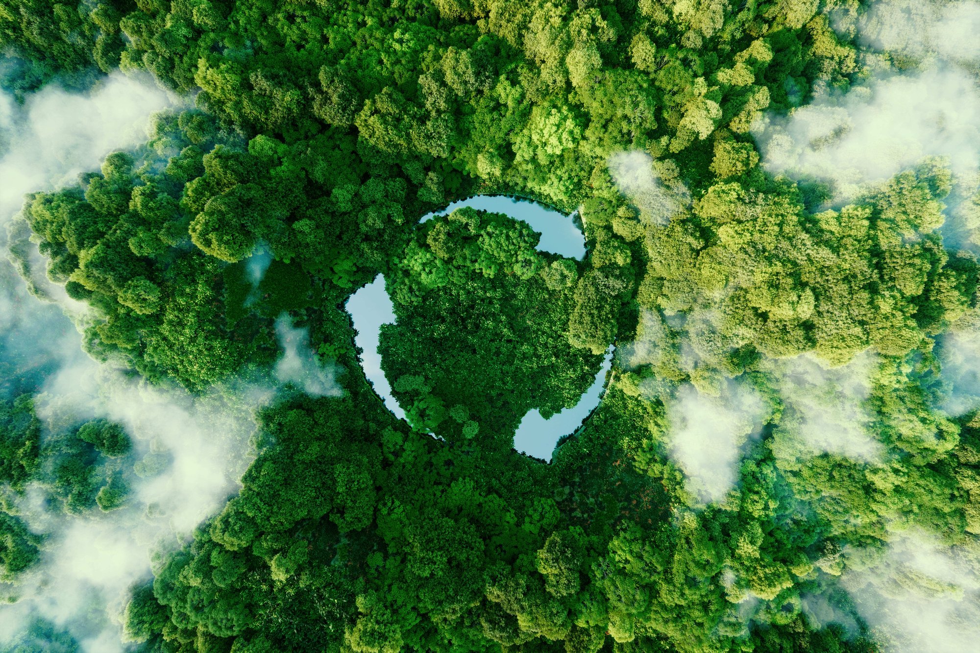 Aerial view of green forest with recycling icon – symbolizing sustainable waste management.