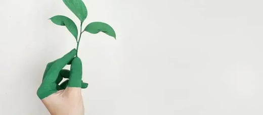 Nextbitt bets on sustainability to become an international benchmark in five years
