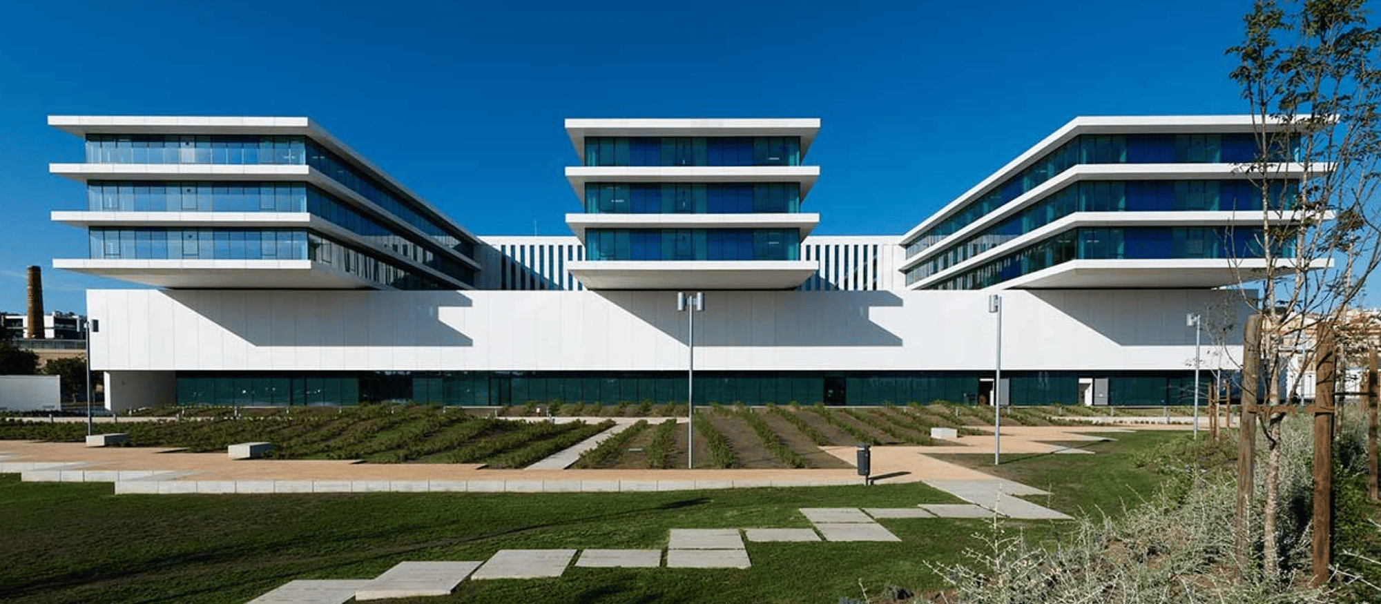 Modern CUF healthcare building with blue sky and green lawn – symbolizing innovation and operational excellence.