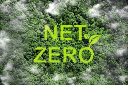 What is the Carbon Footprint and what is its Impact on Companies?