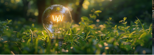 Design sem nome (45)