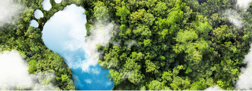 Design sem nome (50)