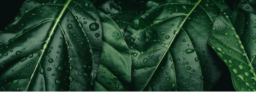 Design sem nome (52)