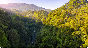 Mountain landscape with dense trees – representing extreme conditions in oil and gas