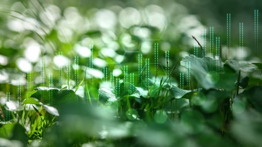 Automatização de Relatórios ESG: Do Caos à Conformidade Auditável